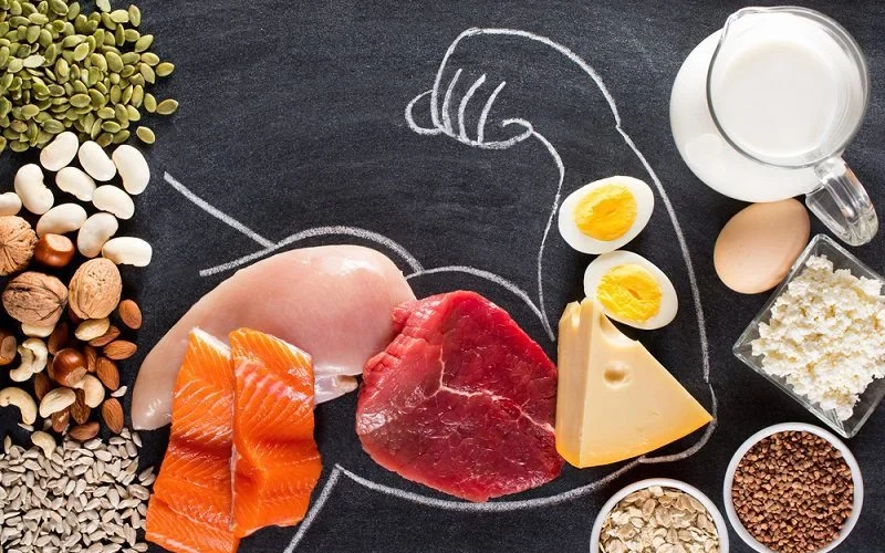 Proteinli qidalar