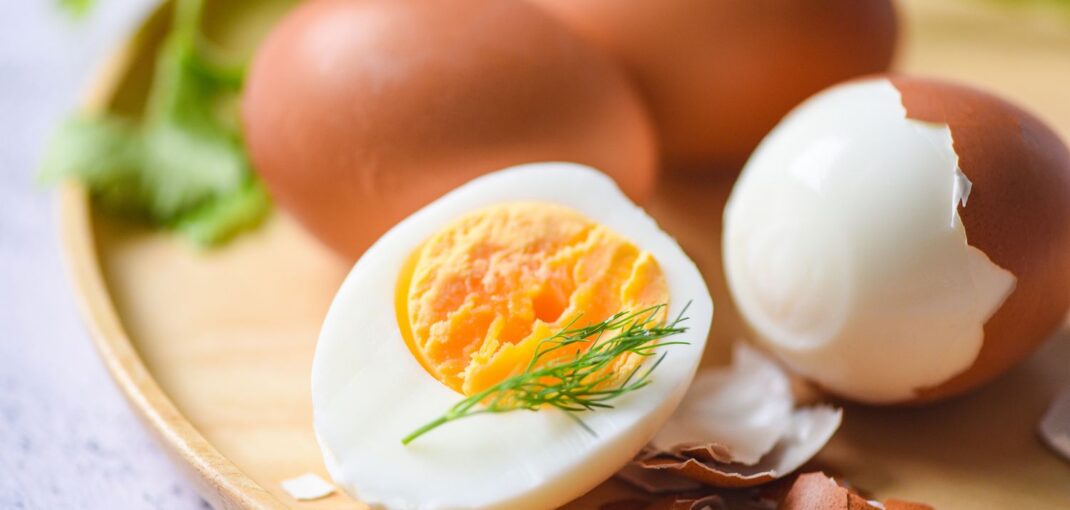 Yumurta protein: Əzələ inkişafı və sağlamlıq üçün güclü mənbə - İdman qidaları Yumurta protein