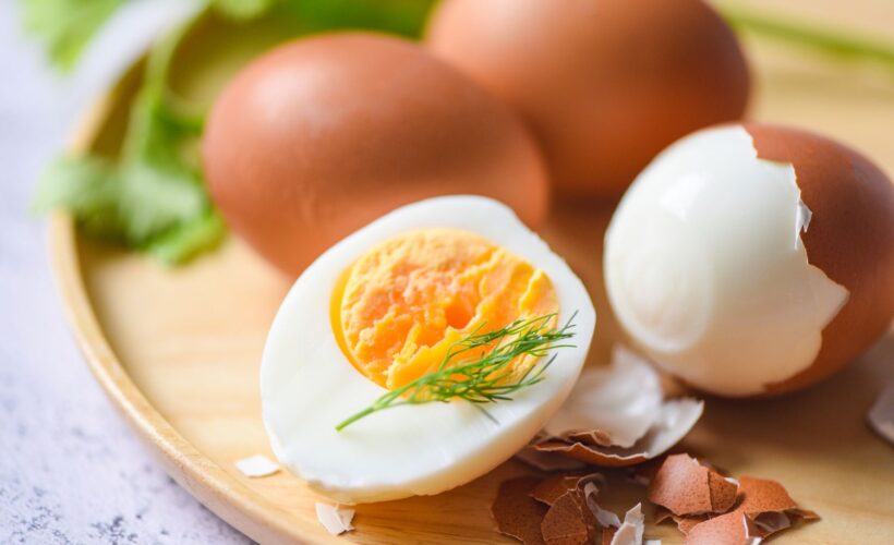 Yumurta protein